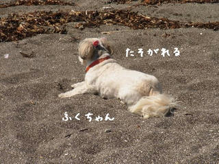 c31444d1.jpg