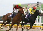 20090107-JapanCup20091129-03-sportsnavi.jpg
