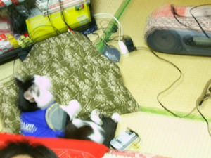 20071125-6.jpg