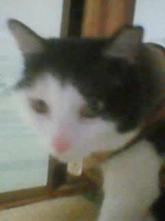 200805272005000.jpg