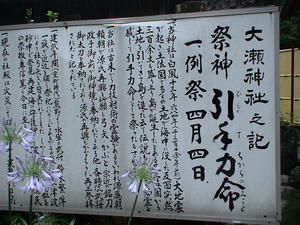 DSC00882.JPG