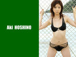 hosinoaki.jpg