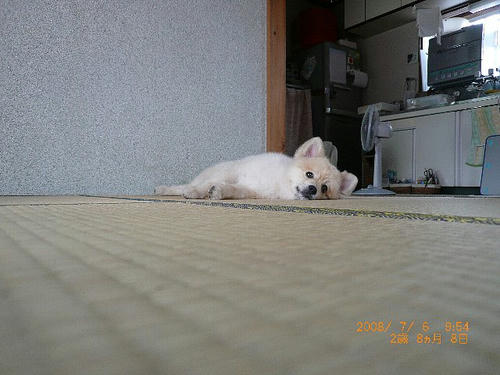 img20080706213740294.jpg