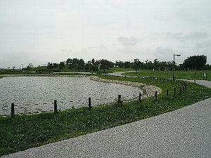 img20080708184616237.jpg
