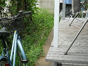 img20080709124712604.jpg