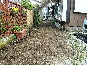 img20080709124828179.jpg