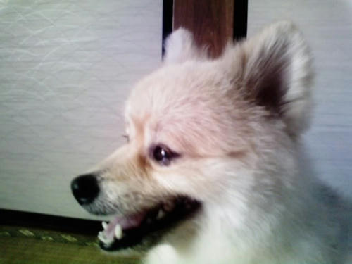 img20080713200525572.jpg