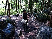 img20080714203430806.jpg