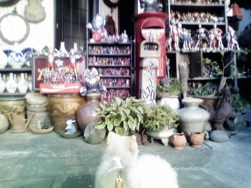 img20080724210111547.jpg