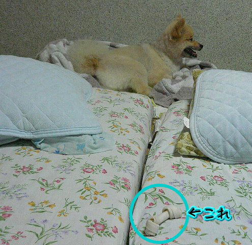 img20080801111426566.jpg