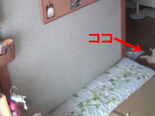 img20080807210452230.jpg