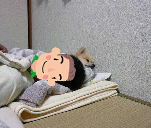 img20080809092435610.jpg