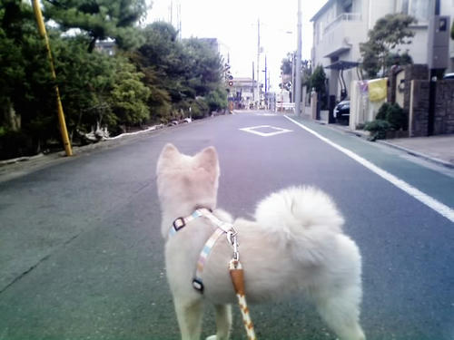 img20080814143318217.jpg