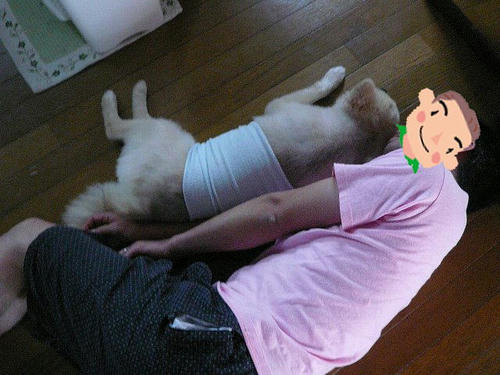 img20080814210936555.jpg