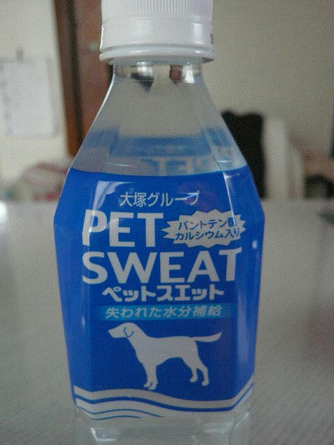 img20080817174714481.jpg