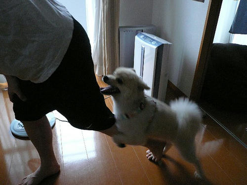 img20080817203631615.jpg