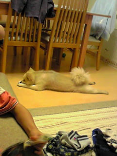 img20080825131953418.jpg