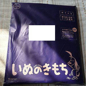 img20080827152223347.jpg