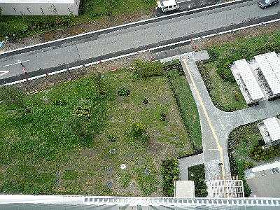 img20080830230024684.jpg