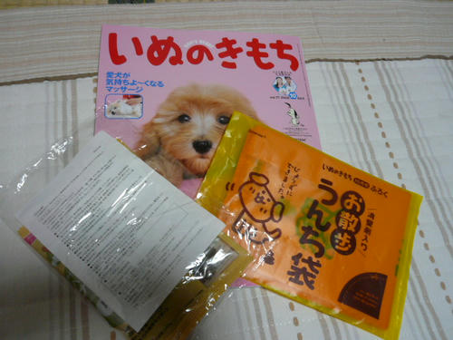 img20080906163122449.jpg