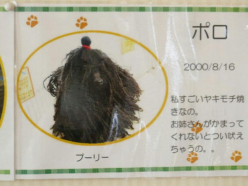 img20080910163550980.jpg