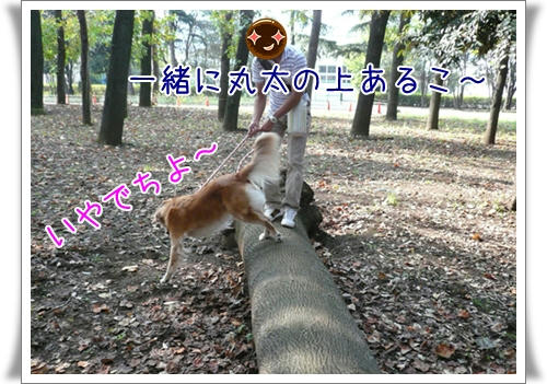 img20091020205638474.jpg