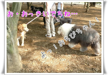 img20091020205750031.jpg