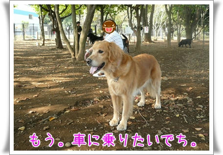 img20091020205828974.jpg