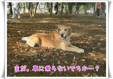 img20091020210032059.jpg
