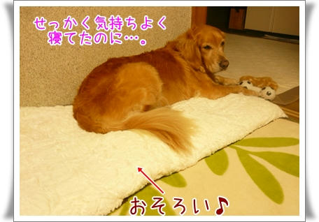 img20091020210916044.jpg