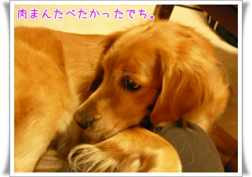 img20091020211342863.jpg