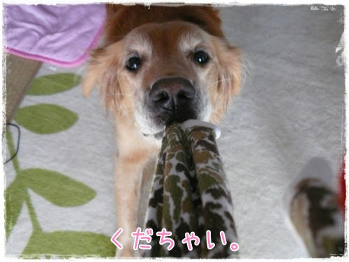 img20091017202707398.jpg