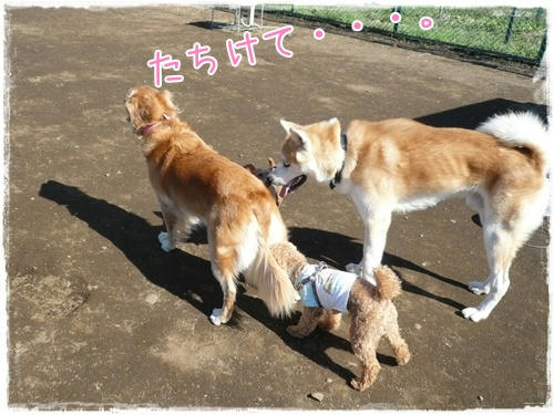 img20091012181955735.jpg
