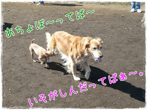 img20091012182115317.jpg