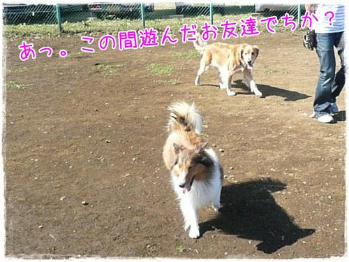 img20091012182250682.jpg