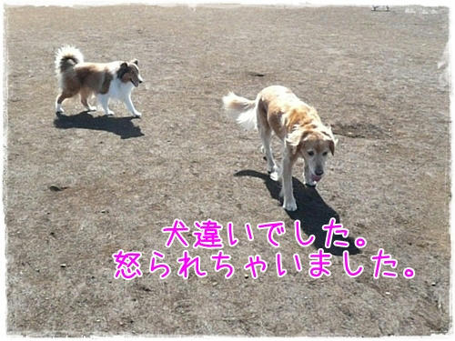 img20091012182311833.jpg