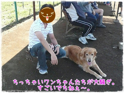 img20091012182637866.jpg