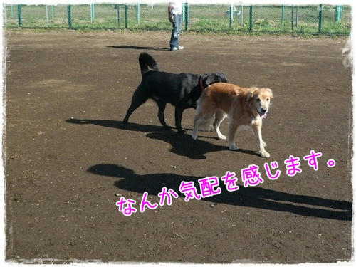 img20091012183036228.jpg