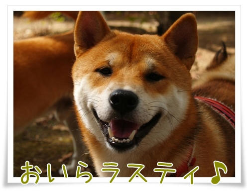 img20090927151532678.jpg