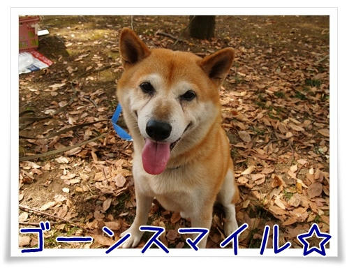 img20090927151606638.jpg