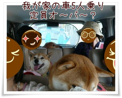 img20090927151446097.jpg