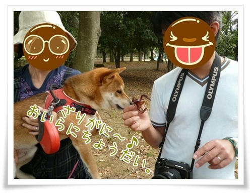 img20090927151713766.jpg