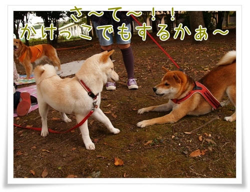 img20090927151841843.jpg