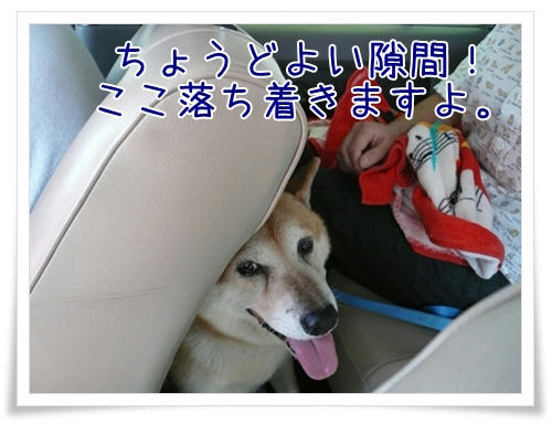 img20090927154955358.jpg