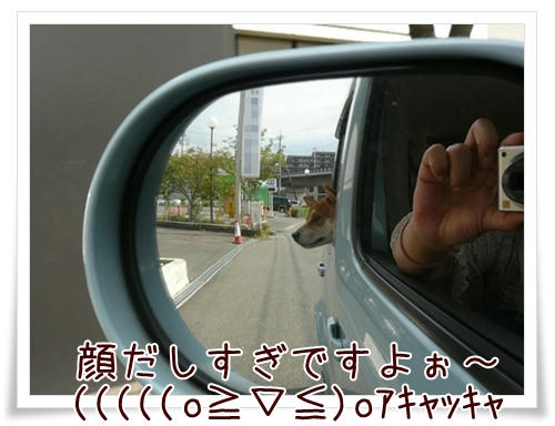 img20090927155027483.jpg