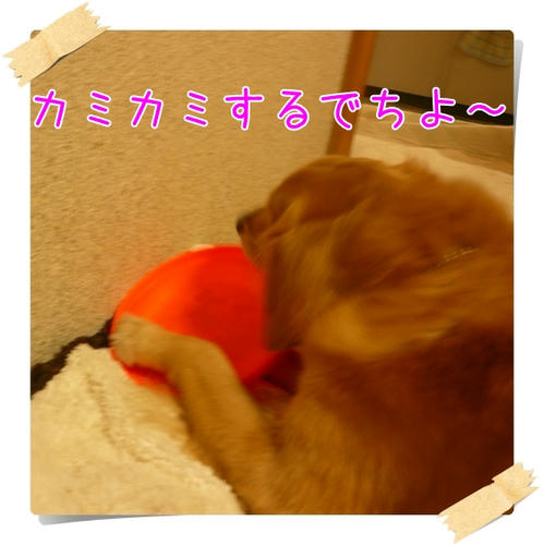P1070027.JPG