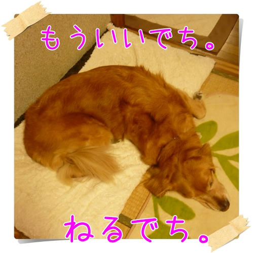 P1070041.JPG