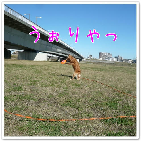P1070054.JPG