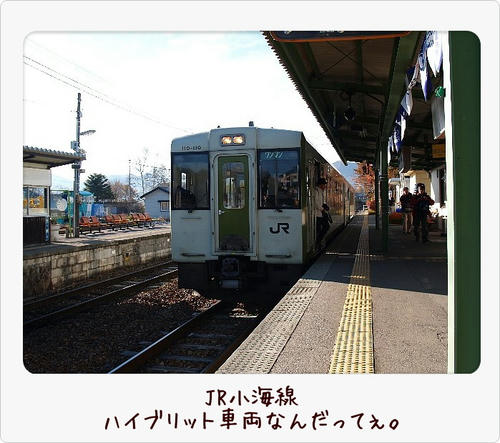 img20081103185935448.jpg