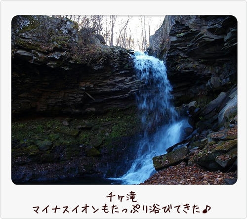 img20081103193637786.jpg